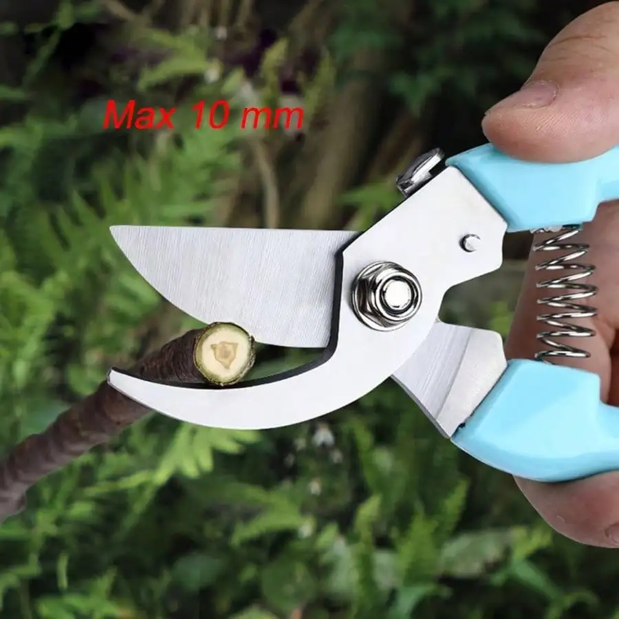 2026 Curve Gardening Scissor W - مراجعة Pinking Shear Blade وسعره