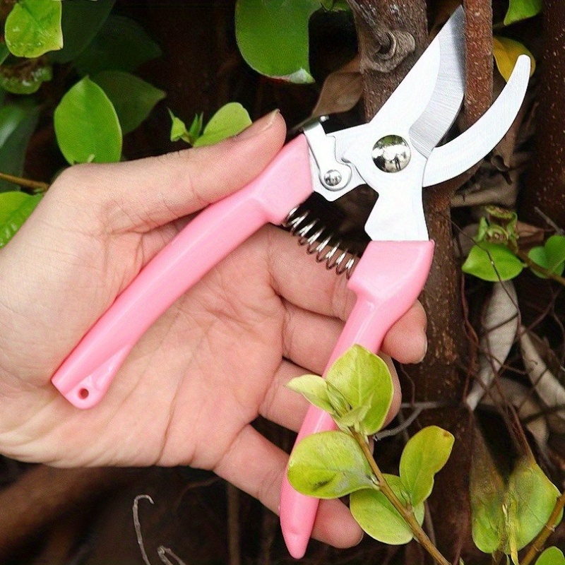 2 Pack Flower Scissors(Pink),  - مراجعة Pinking Shear Blade وسعره
